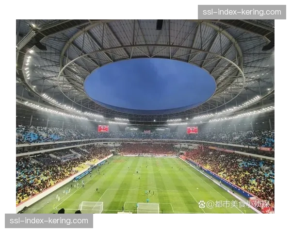 五粮液文化体育中心专业足球场通过验收